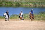 WJ6_7669