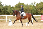 SBM_007590