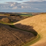 Wolds