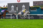 Race 2 2.25pm Tattersalls Acomb Stakes portfolio