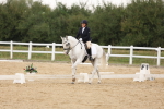 SBM_00480