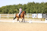 SBM_012356