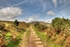 The Old tramline leading to The Cheeswring on Stowes Hill at Minions i
