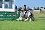 SBM_11511