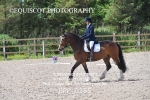 BPP_0355