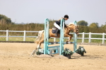 SBM_002956