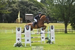 Cls 50 Foxhunter & 1.20m Open portfolio