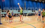 NETBALL_Panthers v Woodley 2017-7