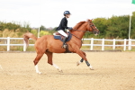 SBM_006970