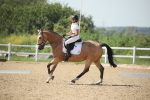 SBM_009975
