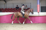 SBM_02019
