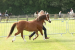 SBM_00539