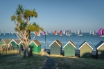 z4458 Round the Island Race gurnard