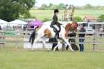 SBM_17627