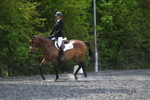 WJ5_9830