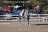 BPP_8710