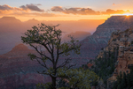 Canyon Daybreak