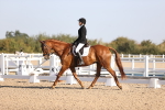 SBM_01614