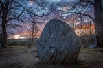 Clava