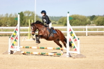 SBM_006830