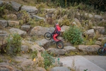 DSCF1487