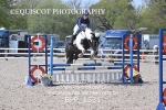 BPP_1531