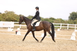 SBM_003037