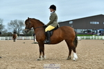 Cls 54+55 Walk& Trot, Lead Rein portfolio