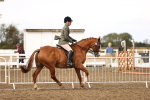 SBM_00668