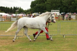 SBM_04283