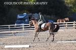 BPP_9571