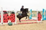 SBM_007397