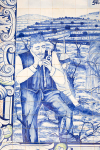 Regua - Blue tiles close up