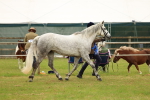 SBM_04303