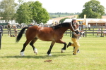 SBM_02244