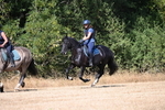 WJ6_8687