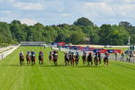 Race 7 5.20pm Bosun's Restaurant Handicap portfolio