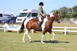 3E7A6314
