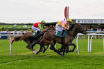 Race 3 15.30pm Catterick Racecourse Supporting Racing Staff Week Handicap portfolio