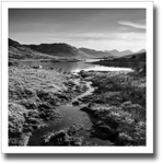 Squidgy ♦ LOCH ARKLET