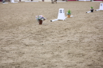 SBM_09421