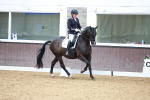 SBM_003295