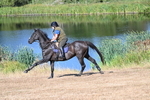 WJ7_6976