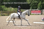 CLASS 35/36 NOVICE Test 4 / 6 portfolio