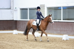 SBM_003511