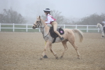 SBM_000980