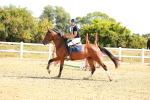 SBM_002713
