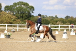 SBM_015986