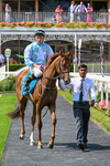 Race 3 15.20pm Irish Thoroughbred Marketing EBF Fillies' Novice Stakes portfolio