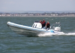 090522 TERRIER IMG_0013
